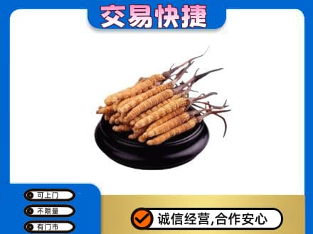 延边回收冬虫夏草多少钱每克